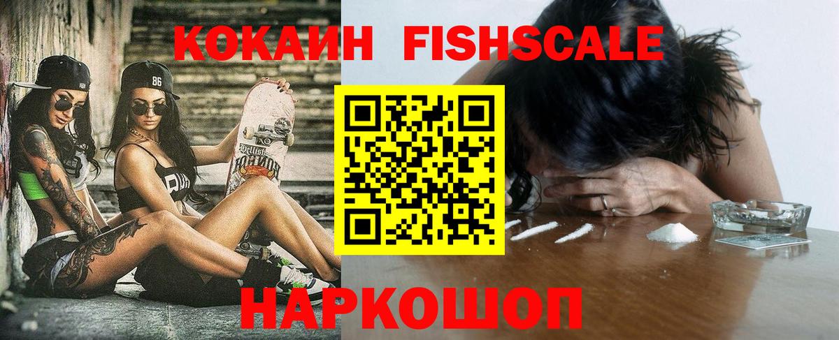 Губкинский  COCAIN VHQ  Кокаин Fish Scale  Вход с VPN 