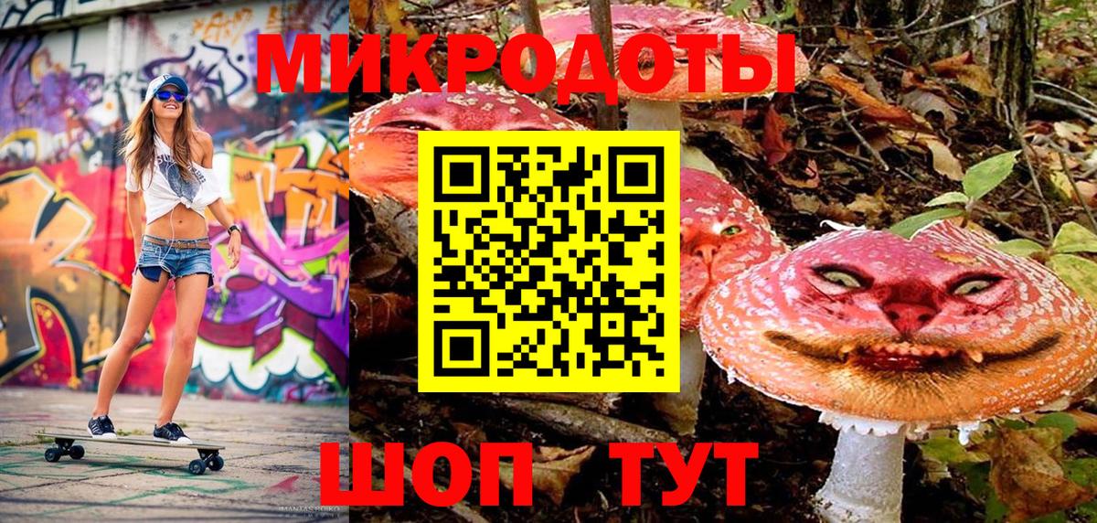 Галлюциногенные грибы Psilocybine cubensis Губкинский