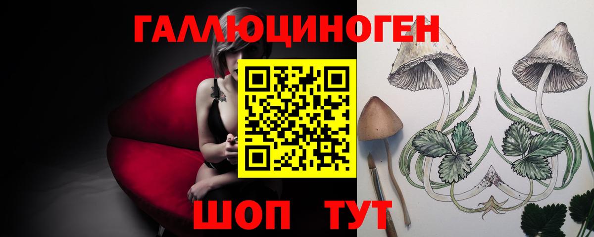 Псилоцибиновые грибы MAGIC MUSHROOMS  Вход с VPN  Губкинский  Галлюциногенные грибы GOLDEN TEACHER 